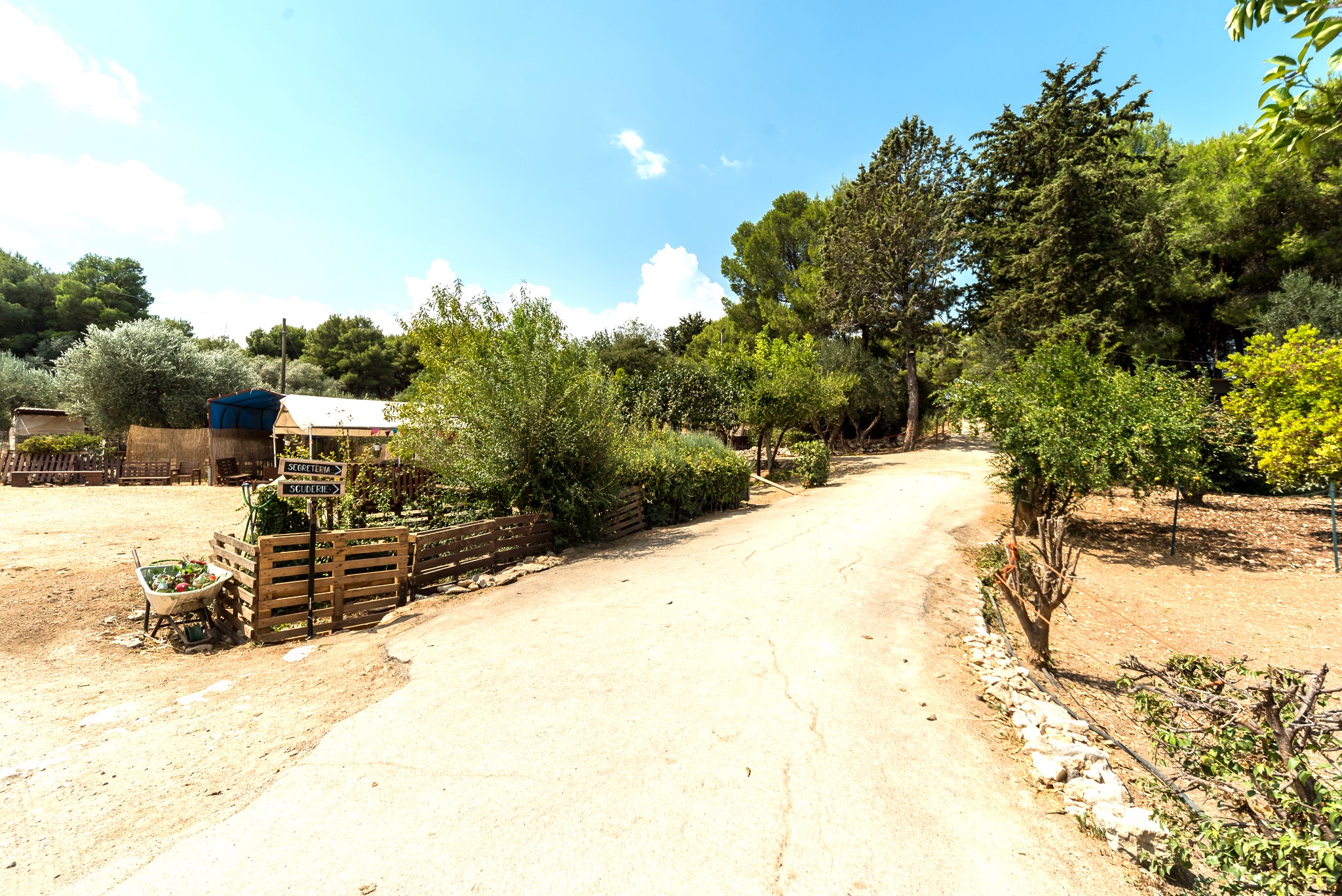 Valenzano, Via Montrone- Rif. 88/24